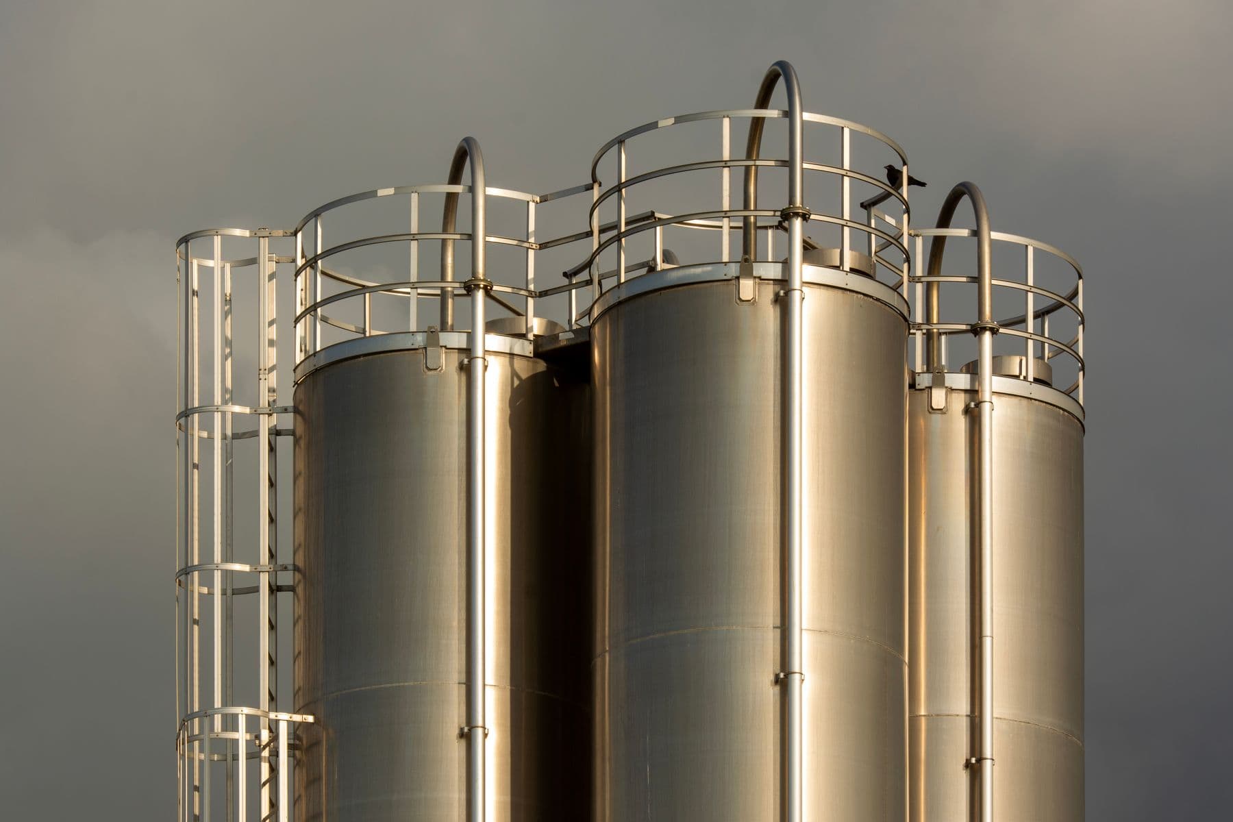 Industrial digestion tanks under an evening sky